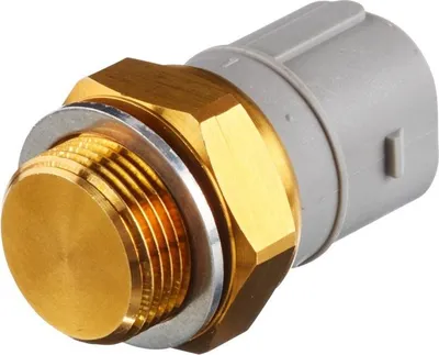 Image de Interrupteur de température (ventilateur de radiateur)