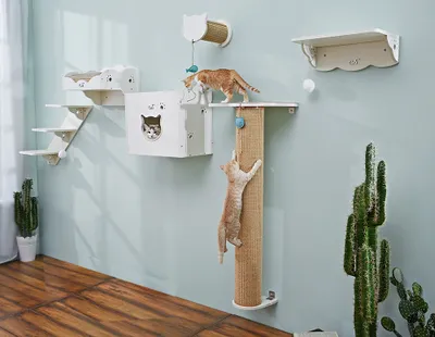 Produktbild von CatS Design Katzen Kletterwand Set xxl große Katzen stabil 6 Teilig Wandkratzbaum T4