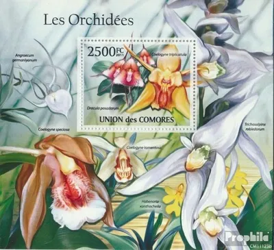 Produktbild von Briefmarken Komoren 2011 Mi Block 615 (kompl. Ausg.) postfrisch Orchideen (Coelogyne triplicatula)
