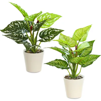 Productafbeelding van Set van 2 kunstplanten, realistische kunststofplanten (31 cm), kunstplanten in witte bloempotten, kunstplanten voor balkon, kamer, woonkamer, badkamerdecoratie