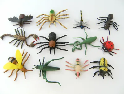 Produktbild von Insekten Käfer Marienkäfer Skorpion Spinne 12erSet, ca. 8cm, Biene Ameise Mücke Libelle