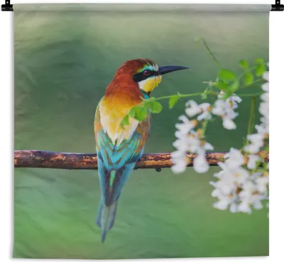 Produktbild von MuchoWow® Wandteppich Wandbehang Vogel - Bienenfresser - Blumen 90x90 cm Tapisserie Dekoration Wandtuch - Wandaufhänger
