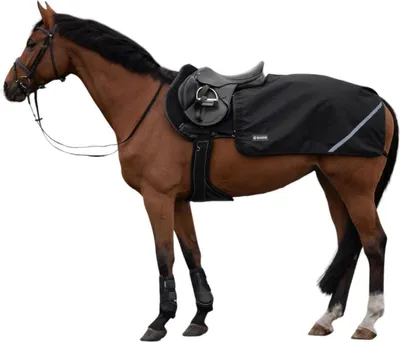Produktbild von Busse Trainingsdecke Rain FX 0g