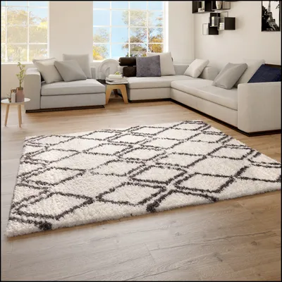 A living room with a sectional sofa and a shaggy rug.