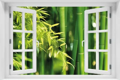 Produktbild von Wallario selbstklebendes Poster mit Fenster-Illusion - Bambuswald mit grünen Bambuspflanzen, Größe: 100 x 150 cm