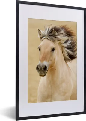 Produktbild von MuchoWow® MuchoWow® Gerahmtes Poster Pferde - Tiere - Mähne - Porträt 40x60 cm - Poster mit zchwarzem Bilderrahmen - Poster in Rahmen