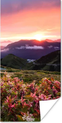 Produktbild von MuchoWow® Poster Blumen - Berge - Landschaft - Nacht - Himmel - Rosa 40x80 cm - Dekoration