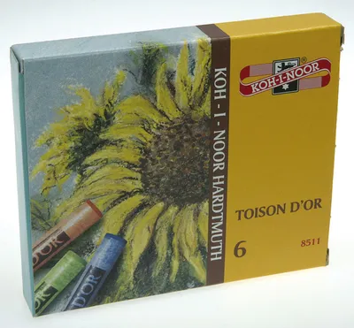 Produktbild von Koh-I-Noor Toison D'or Farbpallette, 6 Farben - Premium Künstlerqualität