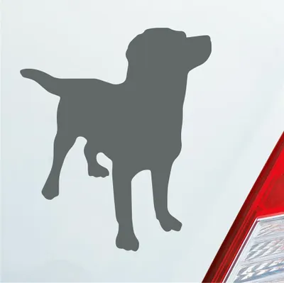 Produktbild von Auto Aufkleber Labrador Labbi Retriever Dog Hund Dog Tier 10x12 cm Grau Sticker Heckscheibenaufkleber