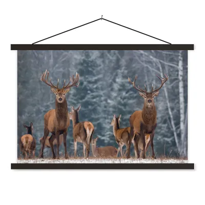 Produktbild von MuchoWow® Textilposter Hirsche - Winter - Schnee - Waldtiere - Wald - Natur 60x40 cm mit schwarzem Rahmen - Hölzernes