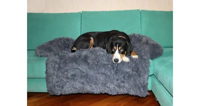 Obrázek produktu pro Merco Petsofa pelíšek pro psa tmavě šedá rozměr S
