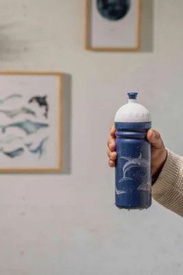 Obrázok produktu pre Fľaša R&B Veľryby 700ml