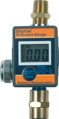 Zdjęcie produktu dla Regulator ciśnienia ze stali SW, cyfrowy, 0,2-11 bar 25048L