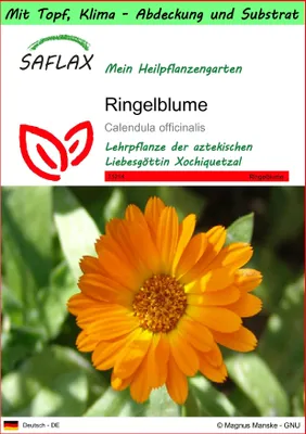 Produktbild von SAFLAX Garden to go - Ringelblume - Calendula officinalis - 50 Samen - Mit Topf, Klima - Deckel und Anzuchtsubstrat