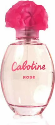 A clear product shot of a perfume bottle.
