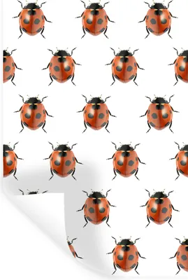 Produktbild von MuchoWow® - Sticker - Dekorfolie