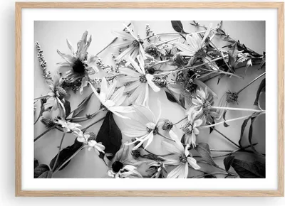 Produktbild von Gerahmtes Poster - Rahmen in heller Eiche - Blumen Schwarzweiß Fotografie - 70x50 cm - Wand Bild - Wanddeko - Wandbilder - Kunstposter - Wandposter - Bilderrahmen - Bilder - P2NAA70x50-4740