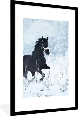 Produktbild von MuchoWow® MuchoWow® Gerahmtes Poster Pferd - Schnee - Winter 60x90 cm - Poster mit zchwarzem Bilderrahmen - Dekoration - Wandposter Wohnzimmer - Hochwertig