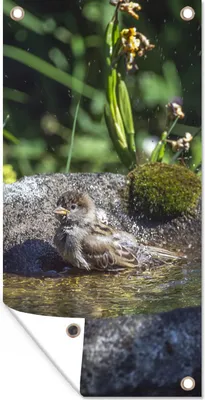 Produktbild von MuchoWow® 80x160 cm Outdoor-Poster Gartendeko Sichtschutz Garten Poster für den Garten  Vogeltränke - Spatz - Wasser