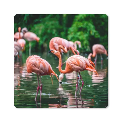 Produktbild von MuchoWow® Mauspad Mousepad Flamingo - Tropisch - Vogel - Wasser - Rosa 20x20 cm - Mousepads - Maus Mat - Pad - Mausunterlage - Desk Mat - Bureauartikeln