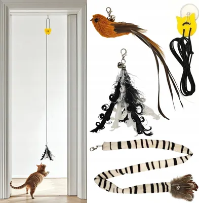 Immagine prodotto di 3x giocattolo per gatti coda di piume di uccello + elastico per porta SET