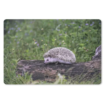 Produktbild von MuchoWow® Mauspad Mousepad Igel auf Baumstumpf 27x18 cm - Mousepads - Maus Mat - Pad - Mausunterlage - Büroartikel - Desk Matten