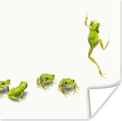 Produktbild von MuchoWow® Poster Frosch - Tiere - Grün 50x50 cm - Wohnzimmerdekoration