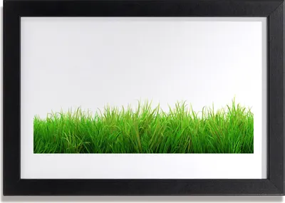 Produktbild von Bild 30x20 MDF-Rahmen Wandkunst Gras Natur Pflanze