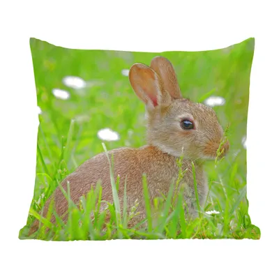 Produktbild von MuchoWow® Zierkissen Sofakissen Wohnzimmer Dekokissen 50x50 cm Kaninchen - Blumen - Gras - Komfort - Sofakissen