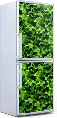 Produktbild von Kühlschrankdekoration  60x180 cm  Aufkleber auf dem Kühlschrank - Grüner Kopfsalat