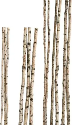 Produktbild von Echter Deko Birkenstamm 90 cm lang, 2-4 cm Durchmesser, natur, für Innen & Außen