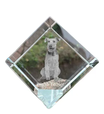 Imagen del producto de Art-Dog Pisapapeles – Welsh Terrier