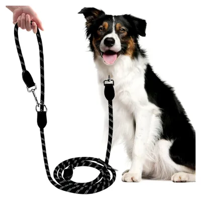 Produktbild von Hundeleine für große und mittelgroße Hunde (15-60 kg) 3 m verstellbare Doppelleine mit 3 Karabinern, reflektierende Freihandleine, Führleine, Umhängeleine, 200 kg Zugkraft