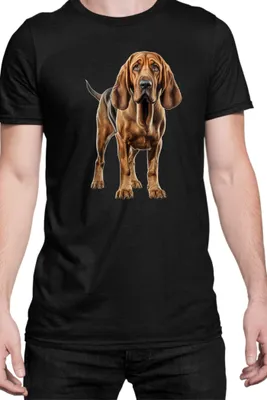 Produktbild von Herren T-Shirt Dogs Breeds Bloodhound Dog Breed 005, Man 3XL / Schwarz