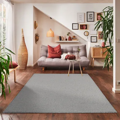 Produktbild von Einfarbiger Teppich Wohnzimmer Schlafzimmer Küchenteppich Kurzflor Hellgrau, Grösse:160x230 cm