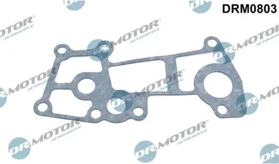 Produktbild von DR.MOTOR AUTOMOTIVE Dichtung Kühlmittelflansch DRM0803 getriebeseitig Zylinderkopf für FIAT Ducato Kastenwagen (250, 290)
