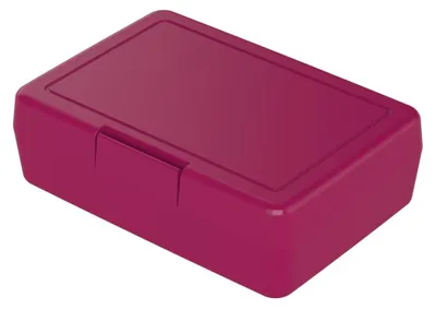 Obrázek produktu pro Box na oběd - dětský box na oběd z plastu bez BPA, ideální do školy i do práce, odolný box na oběd vyrobený v Německu - Berry
