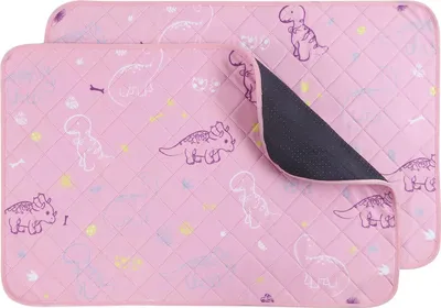 Produktbild von Famanu Plaspads für Hunde - Set von 2 - Antislip und wasserdicht - Waschbare Trainingspads - Graues Dinosaurierdesign