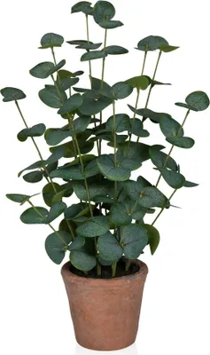 Produktbild von hjh OFFICE Kunstpflanze Eucalyptus Künstliche Pflanze im Topf Eukalyptus Höhe 48.0 cm Deko
