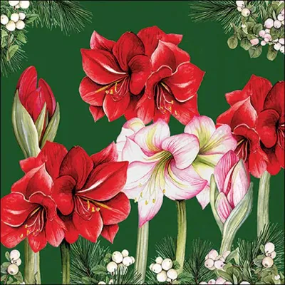 Productafbeelding van Ambiente servetten, 33 x 33 cm – Bloeiende amaryllis