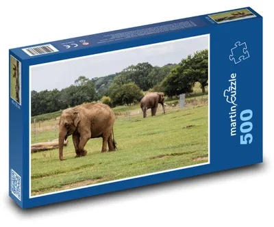 Obrázek produktu pro Puzzle 500 Sloni v přírodě na safari - martinpuzzle
