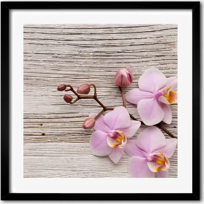 Produktbild von Bild - 50 cm x 50 cm - MDF - Rahmen, Wandkunst - Orchidee auf Holz