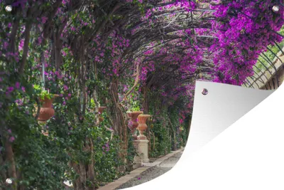 Produktbild von MuchoWow® 90x60 cm Outdoor-Poster Gartendeko Sichtschutz Garten Poster für den Garten  Tunnelartige Pergola