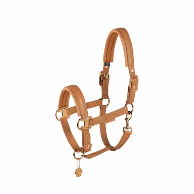 Image de Eskadron Platinum HW23 Licol double pin en faux cuir