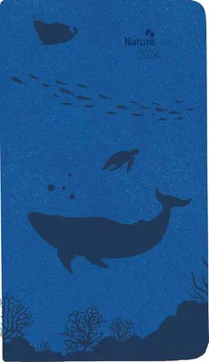 Produktbild von Taschenkalender Nature Line Ocean 2024 - Taschen-Kalender 9x15,6 cm - 1 Woche 2 Seiten - 128 Seiten - Umwelt-Kalender - mit Hardcover - Alpha Edition