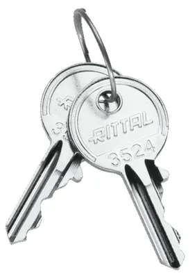 Zdjęcie produktu dla Rittal SZ 2549.500, Srebrny, 1 szt.