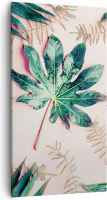 Produktbild von Bild auf Leinwand - Leinwandbild - Einteilig - Blatt Tropisch Palme - 55x100cm - Wand Bild - Wanddeko - Wandbilder - Leinwanddruck - Bilder - Wanddekoration - Leinwand bilder - PA55x100-4314