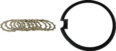 Immagine prodotto di Dischi frizione e guarnizione per Triumph Sprint 955 RS, anni di produzione 2002-2004 - Nuovi
