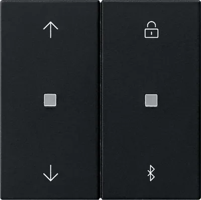Immagine prodotto di Gira tende e timer sw 5367005