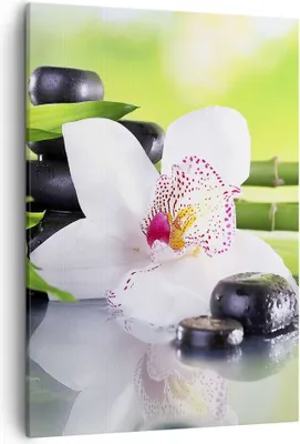 Produktbild von Bild auf Leinwand - Leinwandbild - Einteilig - blume orchidee - 50x70cm - Wand Bild - Wanddeko - Wandbilder - Leinwanddruck - Kunstdruck - Wanddekoration - Leinwand bilder - Wandbild - PA50x70-3659